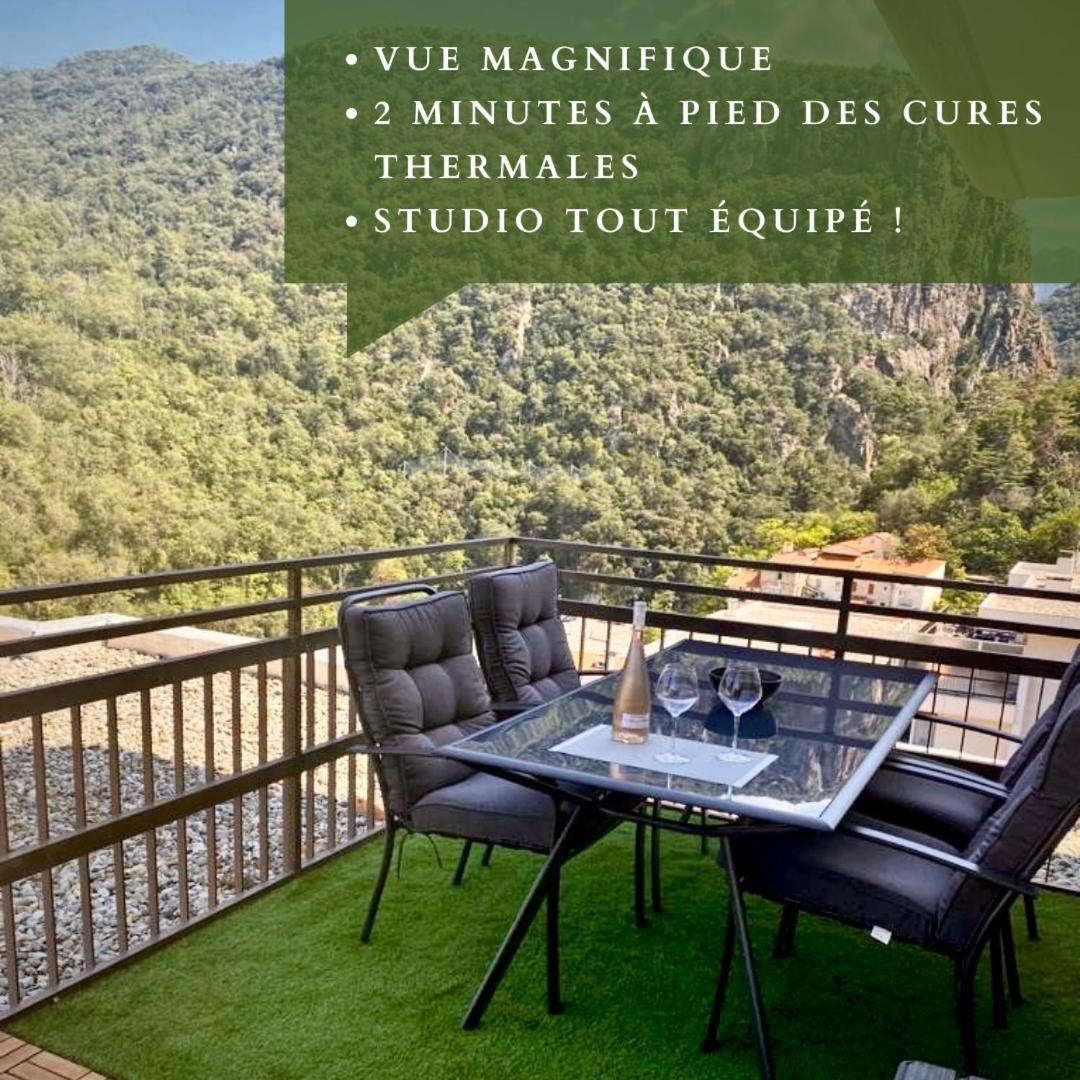 Studio Tout Equipe Amelie-les-Bains-Palalda Exterior photo