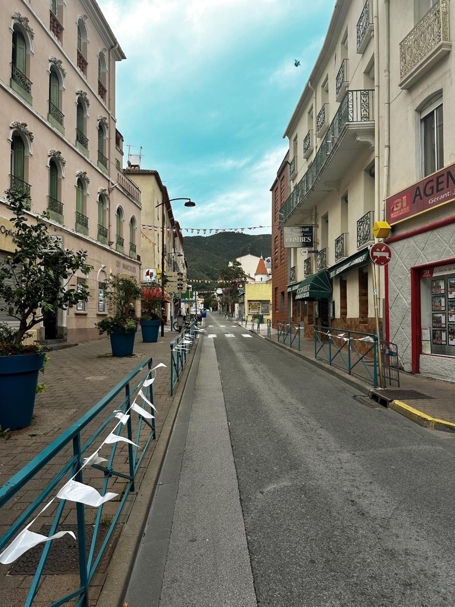 Studio Tout Equipe Amelie-les-Bains-Palalda Exterior photo