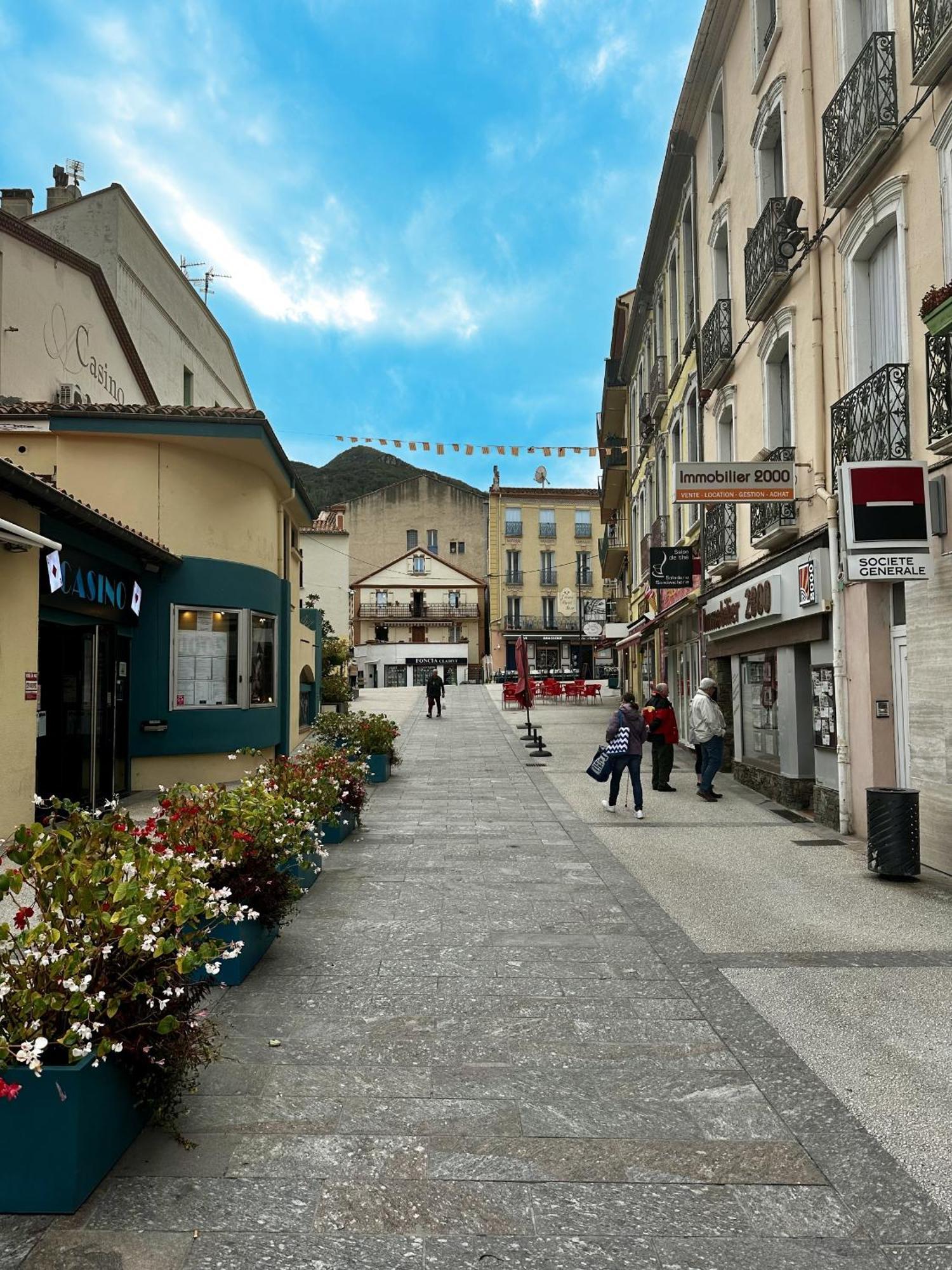 Studio Tout Equipe Amelie-les-Bains-Palalda Exterior photo